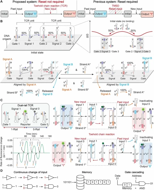 DNA-2nm-transitor-1.webp