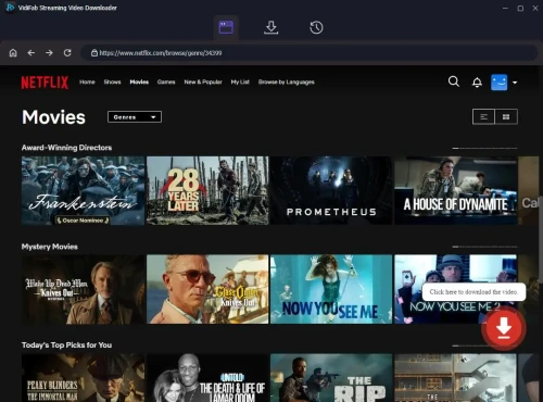 VidiFab-Streaming-Video-Downloader.webp