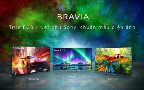 BRAVIA-TV.webp